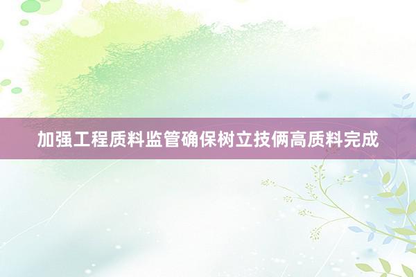 加强工程质料监管确保树立技俩高质料完成